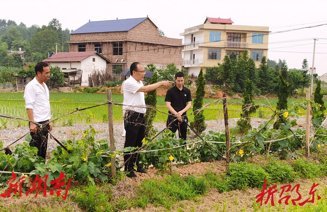 罗健康到火厂坪镇丰裕村调研乡村振兴工作_邵阳头条网